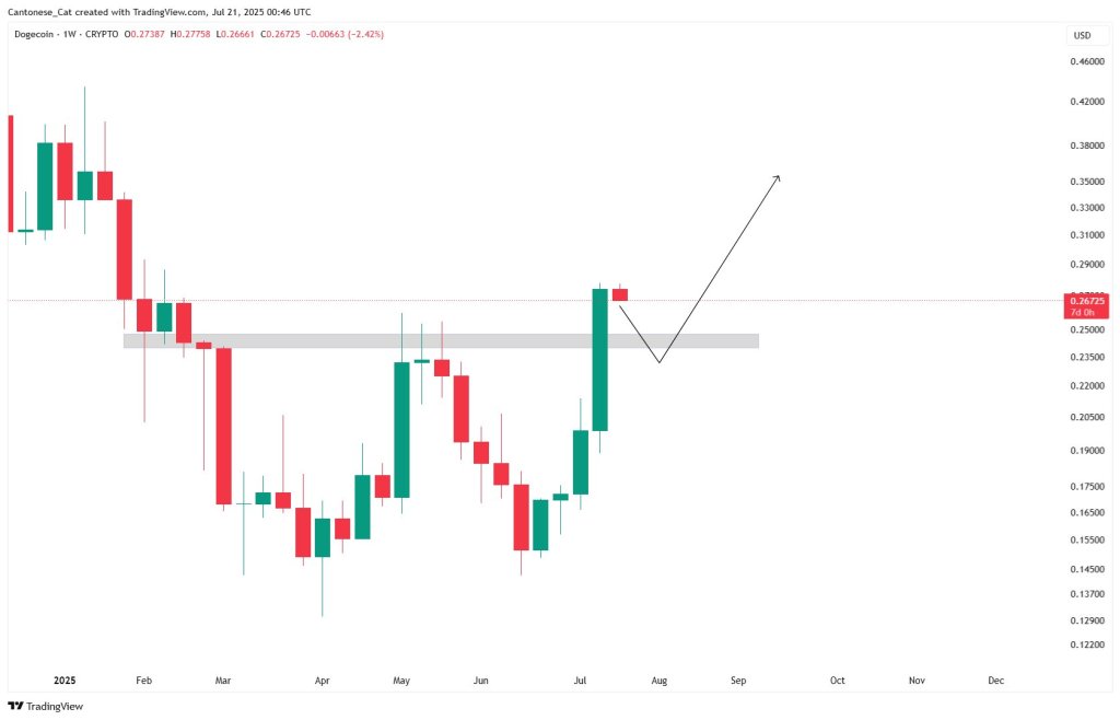 Dogecoin double bottom pattern