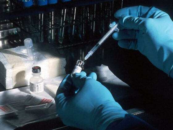 Biotech and Pharma Market Update: Q2 2025 in Review