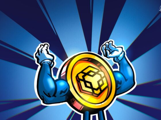 BNB High Boosts CZ’s Holdings to .8 Billion