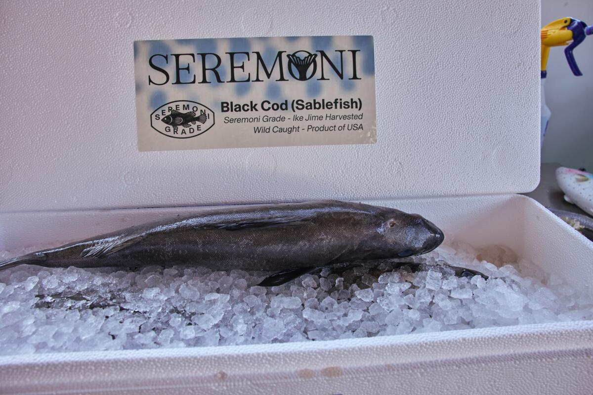 Seremoni Black Cod are ready for shipping after being put through a Poseidon.