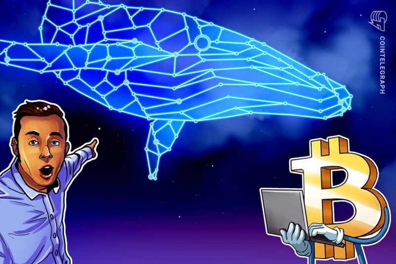 Bitcoin Whale Starts Selling as BTC Hovers at 6K