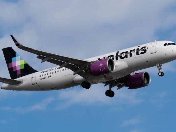 Airline says its US travel taken down by tariffs