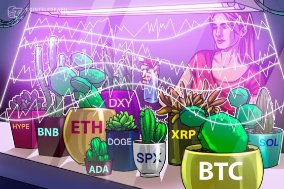 Altcoins Chase New Highs After Bitcoin Hits 3,000