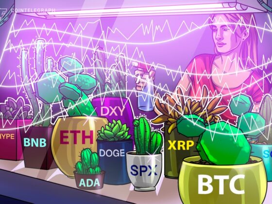 Altcoins Chase New Highs After Bitcoin Hits 3,000