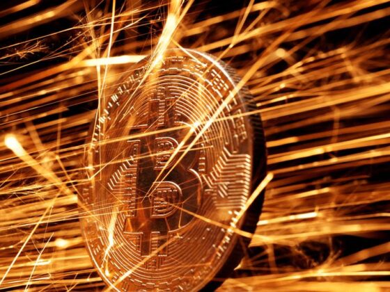 Analysis-Institutional investors warm to crypto but demand still nascent