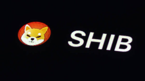 Analyst Predicts Explosive 126% Shiba Inu Rally After SHIB Surpasses Litecoin Market Cap