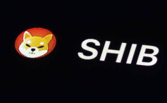 Analyst Predicts Explosive 126% Shiba Inu Rally After SHIB Surpasses Litecoin Market Cap