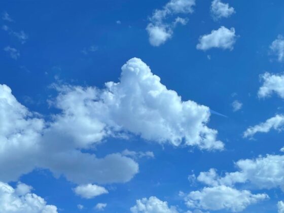 Ask not for whom the Louvre of Bluesky tolls, it tolls for thee