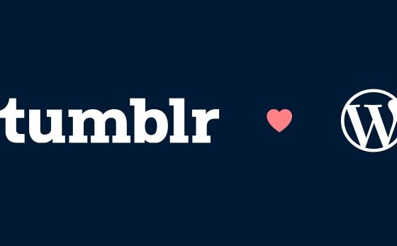 Automattic puts Tumblr migration to WordPress on hold