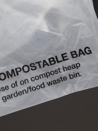 Bambrew secures .3m in funding to boost eco-friendly packaging