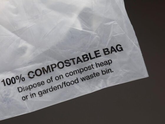 Bambrew secures .3m in funding to boost eco-friendly packaging