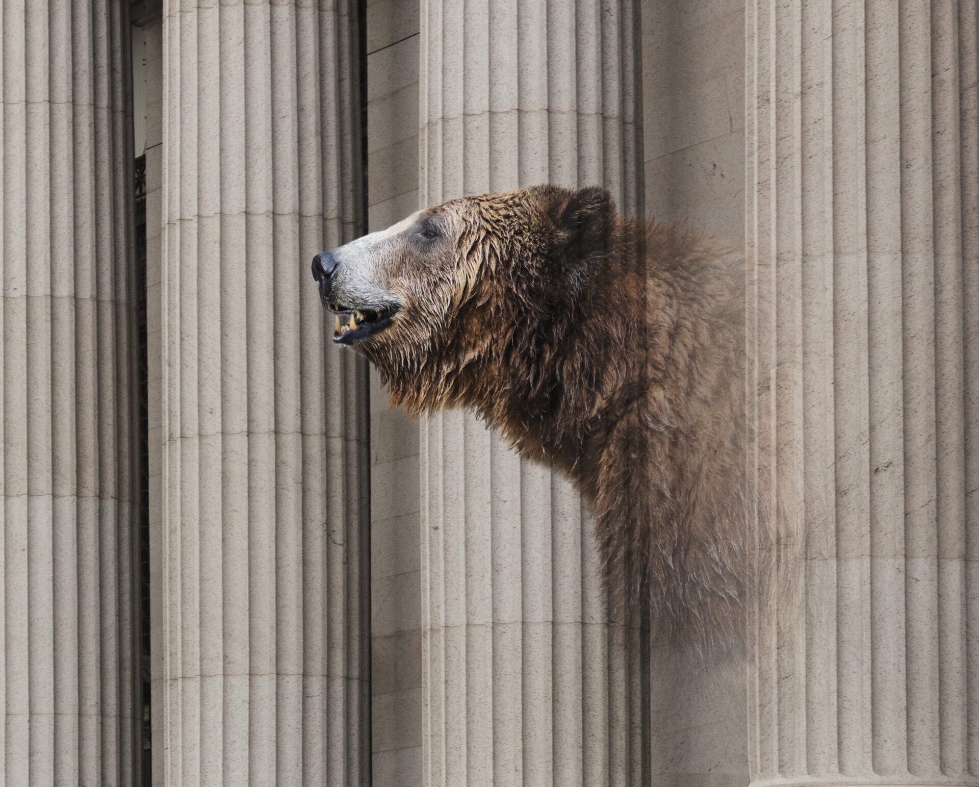 Bear Market Playbook: Decoding Recession Risk, Valuation Impact, and Style Leadership
