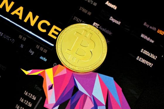 Binance Whale Inflows Suggest Possible Drop To 0,000
