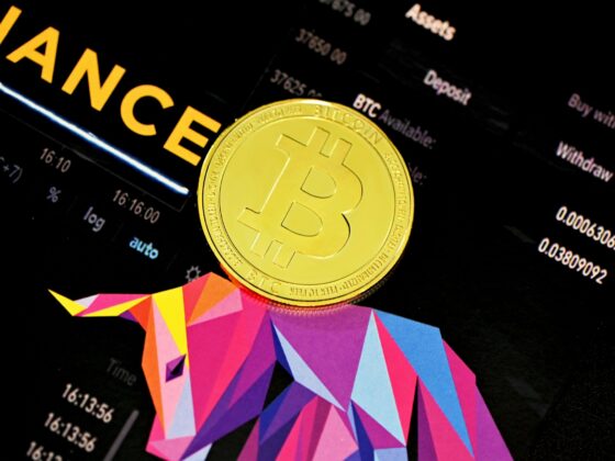Binance Whale Inflows Suggest Possible Drop To 0,000