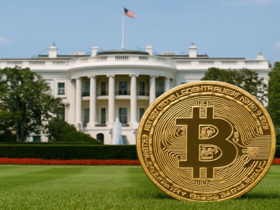 Bitcoin Holds Firm At 8,000 As Trump’s Crypto Report Nears Release