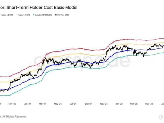 Bitcoin Next Key Level Is 6,000 If Momentum Holds, Glassnode Says