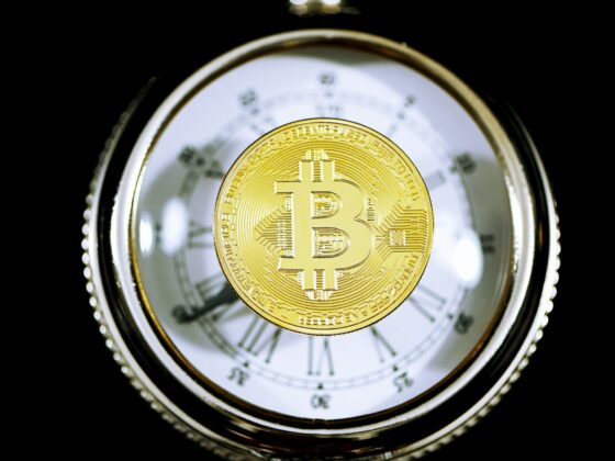 Bitcoin Sees Rising New Investor Dominance, Old Holders Yet To Capitulate