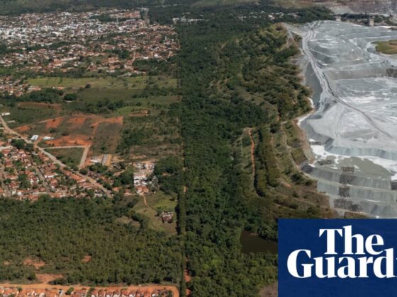 Brazil’s last asbestos miners are switching to rare earth minerals. Can they offer a brighter future? | Brazil
