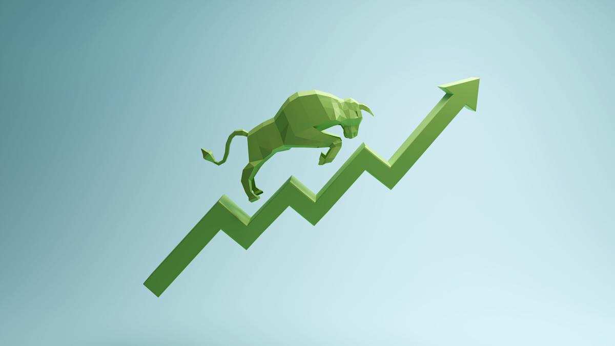 Bull markets 'die of fright,' not 'old age': Strategist