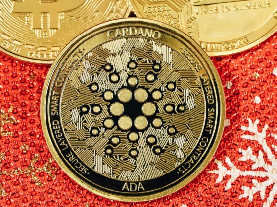 Cardano Price Mirrors Market Conditions That Led To .10 ATH