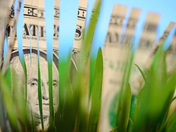Central Banks and the Green Economy: A Path to Sustainable Growth