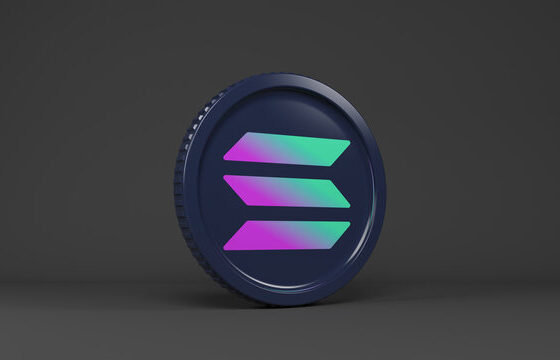 Crypto Community Blasts Solana Founder Over This Meme Coin/NFT Comment