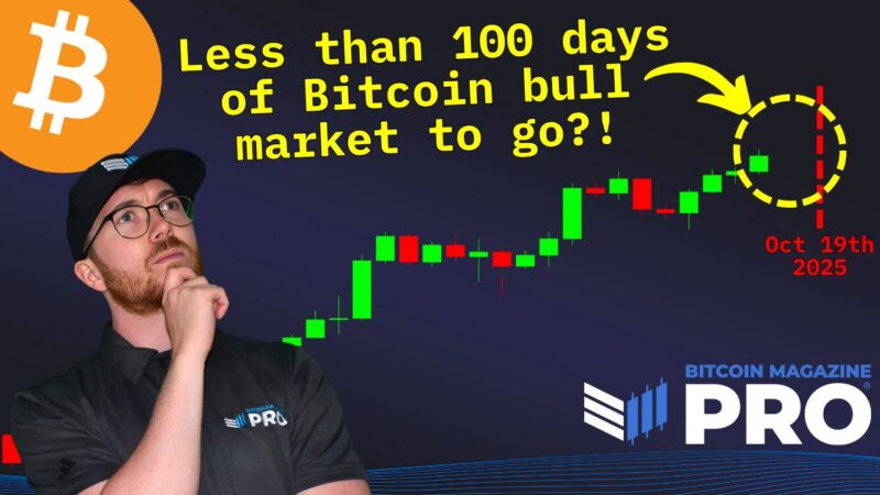 Does Bitcoin Have Less Than 100 Days Left In This Cycle?