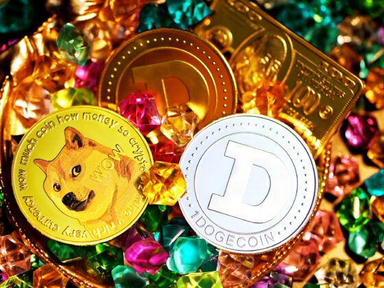 Dogecoin Whale Bets  Million After .14 Million Profit. What’s Going On?
