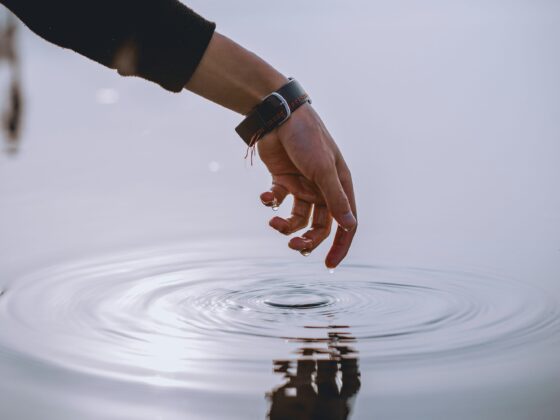 Don’t Hold Back—Expert Recommends Full Stake In XRP