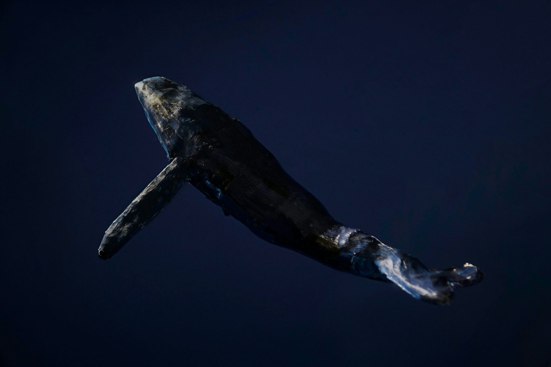 Dormant Whale Sells $80,000 BTC, But Bitcoin Bulls Still In Control