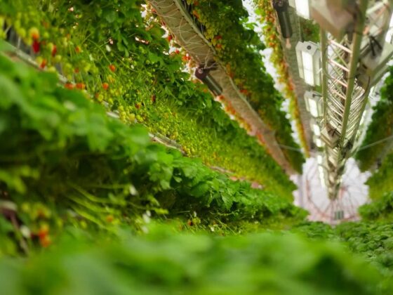 Dyson Reveals Futuristic Farming Vision