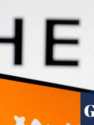 EU commissioner shocked by dangers of some goods sold by Shein and Temu | Retail industry