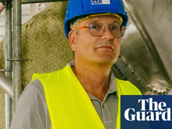 EU may as well be ‘province of China’ due to reliance on imports, says industrialist | International trade