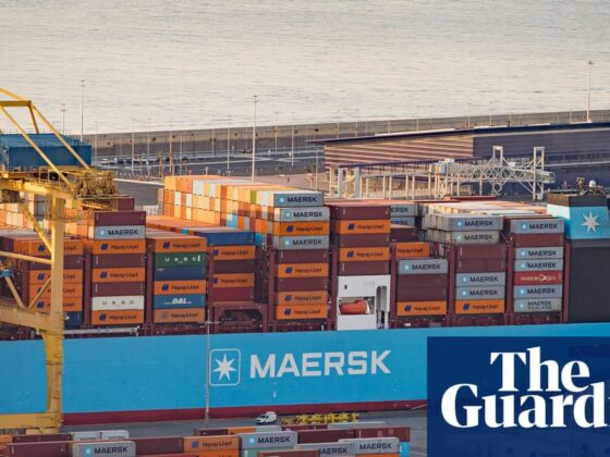 EU prepares €100bn no-deal plan to match Trump’s threat of 30% tariffs | International trade