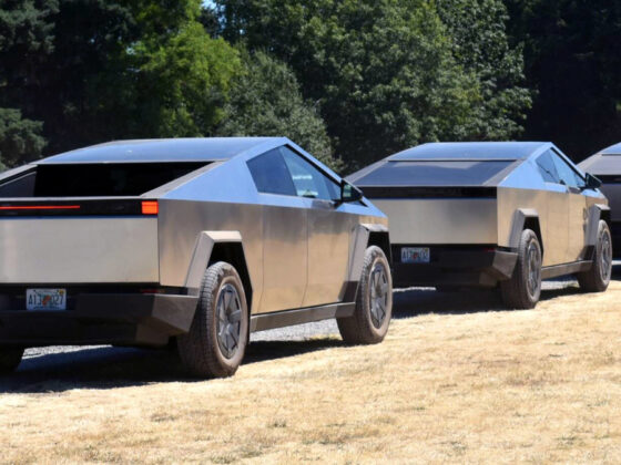 Electric vehicle expo CEO has blunt words on future, Elon Musk