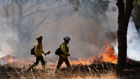 FTAV further reading