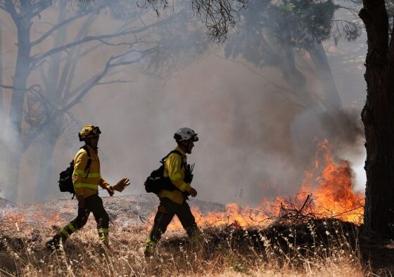 FTAV further reading