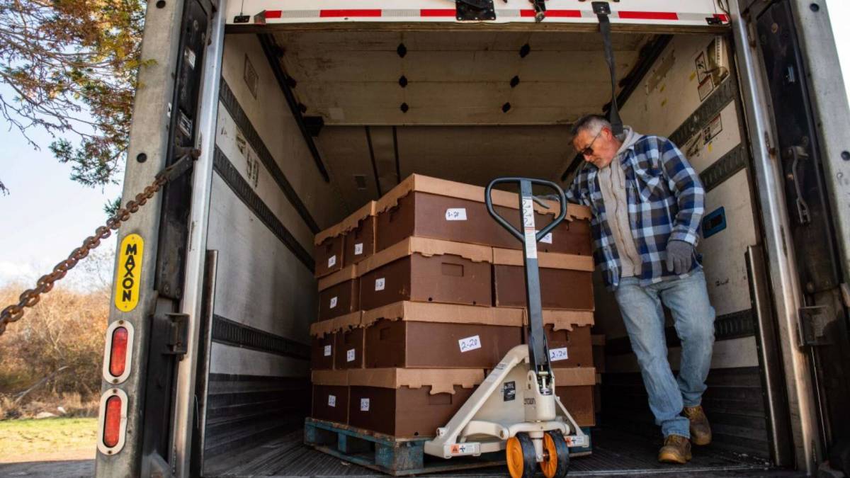 FedEx rival shipping company abruptly closes down business