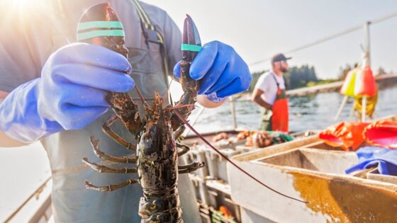 Iconic New England seafood brand files Chapter 11 bankruptcy