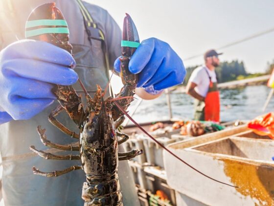 Iconic New England seafood brand files Chapter 11 bankruptcy
