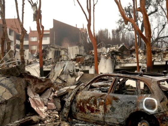 January wildfire damage could total .7 billion within city limits