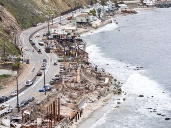 L.A. County fire victims sue State Farm for negligence, claim they were ‘grossly underinsured’