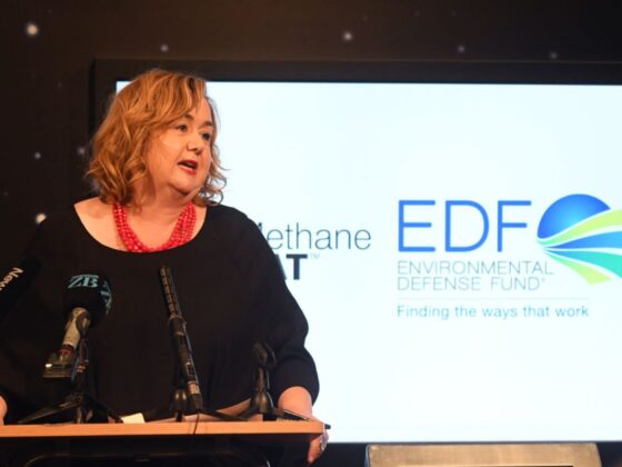 Lost in space: Elon Musk, Jeff Bezos, Google share  million loss