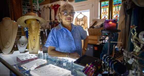 Malibu businesses are in recovery 6 months after the Palisades fire
