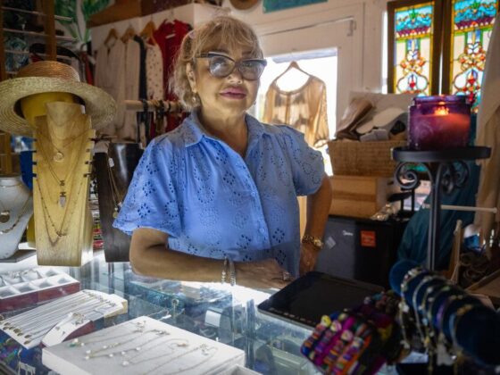 Malibu businesses are in recovery 6 months after the Palisades fire