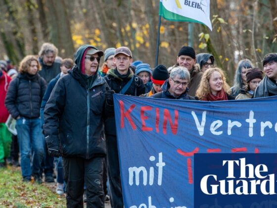 Musk’s giant Tesla factory casts shadow on lives in a quiet corner of Germany | Tesla