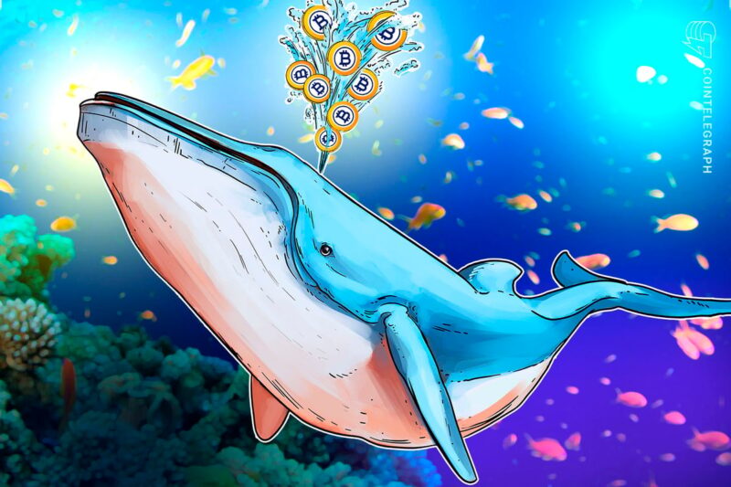 No Indications of Sell-Off in .6B Bitcoin Whale Transfer No Indications of Sell-Off in .6B Bitcoin Whale Transfer