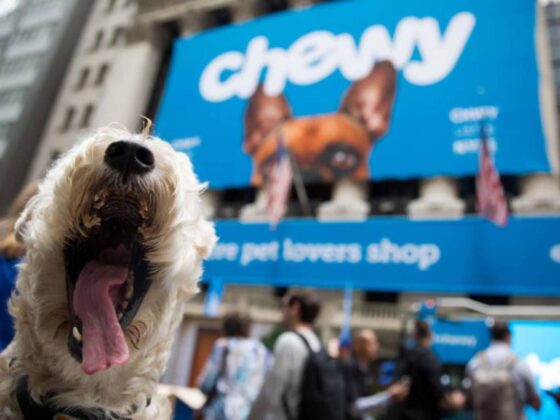 Online pet retailer teams up with popular lifestyle brand