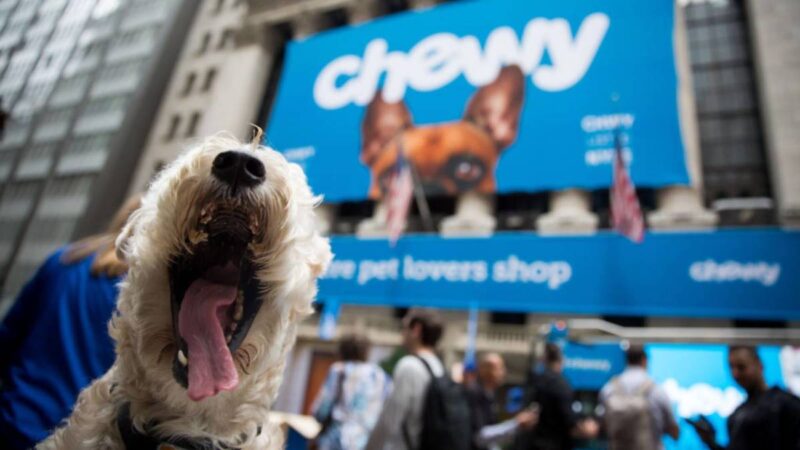 Online pet retailer teams up with popular lifestyle brand