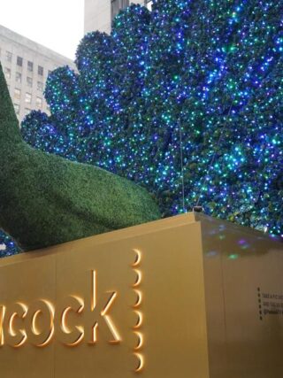 Peacock increases subscription price by  a month